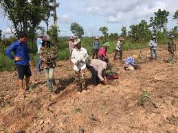 Improve Neighborhood Community Forestry – Protecting Forests & Families Around Tonle Sap