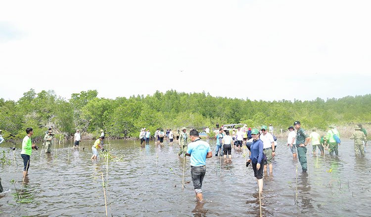 Green Cambodia Initiative – Tree Planting & Environmental Protection Across 8 Provinces