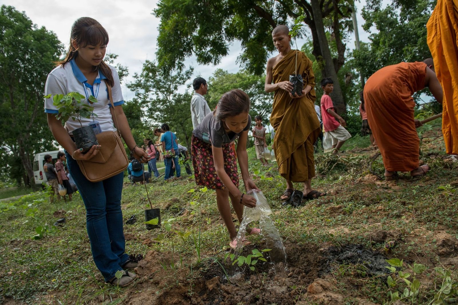 Planting Hope for Cambodia: Tree Planting Across 10 Provinces