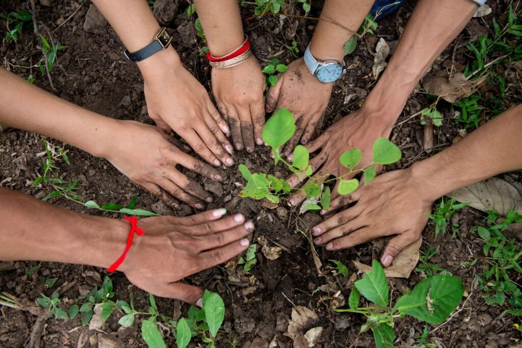 Planting Hope for Cambodia: Tree Planting Across 10 Provinces